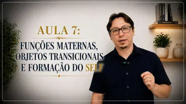 Thumbnail Aula 7: Funções maternas, objetos transicionais e formação do self